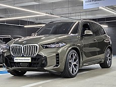 BMW X5 xDrive40i M sport